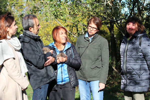 Officina Naturae collabora col CRAS Rimini nel 2019